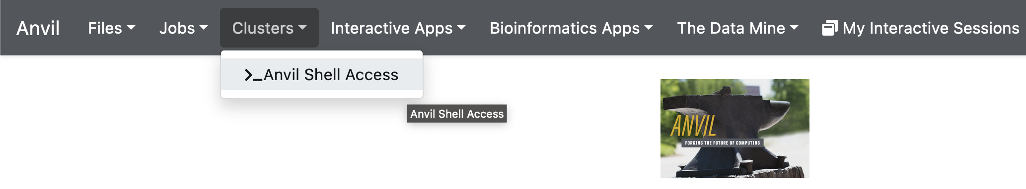 The image shows a dark grey bar at the top of a web page with many options. The 4th option from the left reads "Clusters" and when hovered over shows and option for Anvil Shell Access.